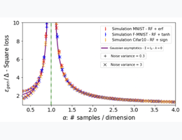 thumbnail for publication Are Gaussian Data All You Need? The Extents and Limits of Universality in High-Dimensional Generalized Linear Estimation
